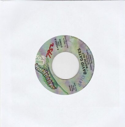 David Gates - Never let her go + Watch out (Vinylsingle)