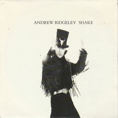 Andrew Rigeley - Shake + Hangin' (Vinylsingle)