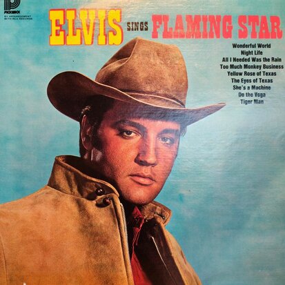 Elvis Presley - Flaming Star (Vinyl LP)