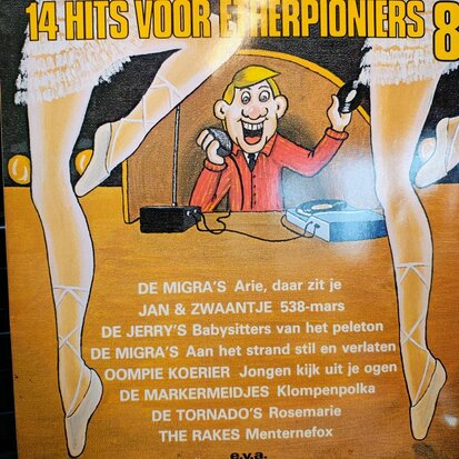 Various - 14 Hits Voor Etherpiraten 8 (Vinyl LP)