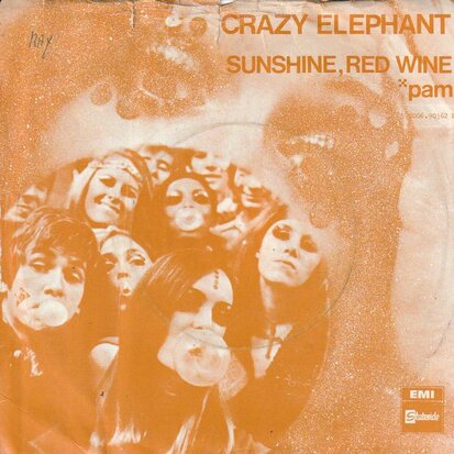 Crazy Elephant - Sunshine, Red Wine + Pam (Vinylsingle)