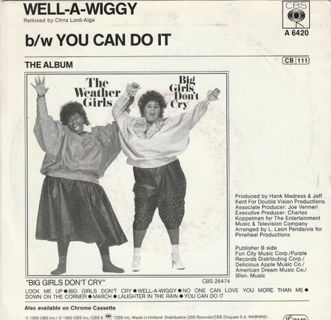 Weather Girls - Well-A-Wiggy + You Can Do It (Vinylsingle)