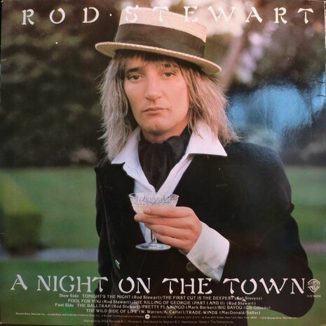 Rod Stewart - A Night On Thew Town (Vinyl LP)